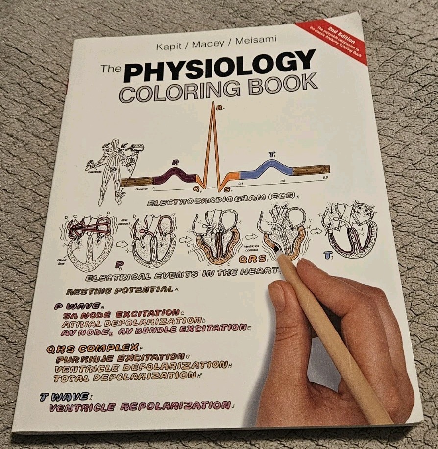 The Psychology Coloring Book By Wynn Kapit