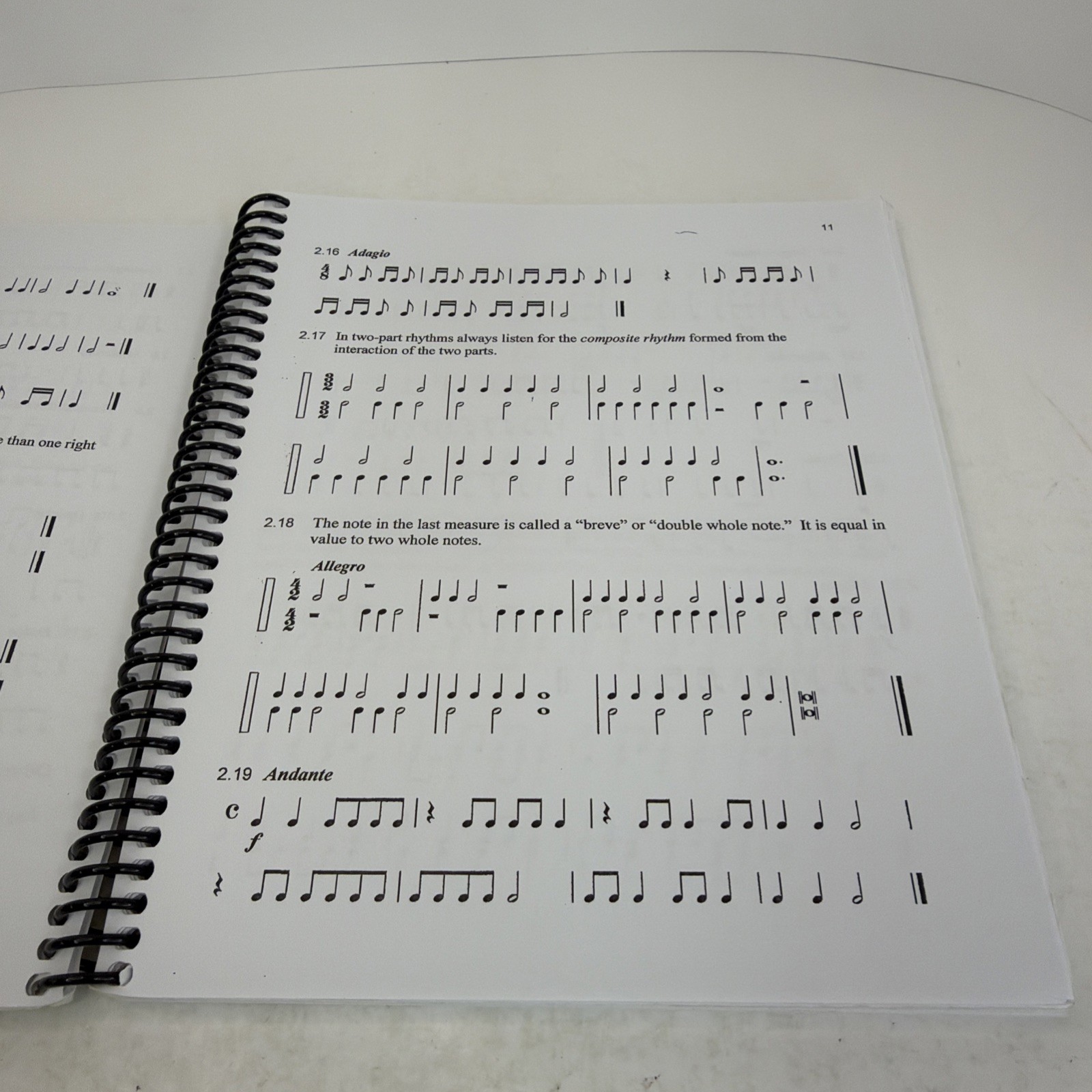 The Rhythm Book 2nd Edition 2009 Spiral by Richard Hoffman