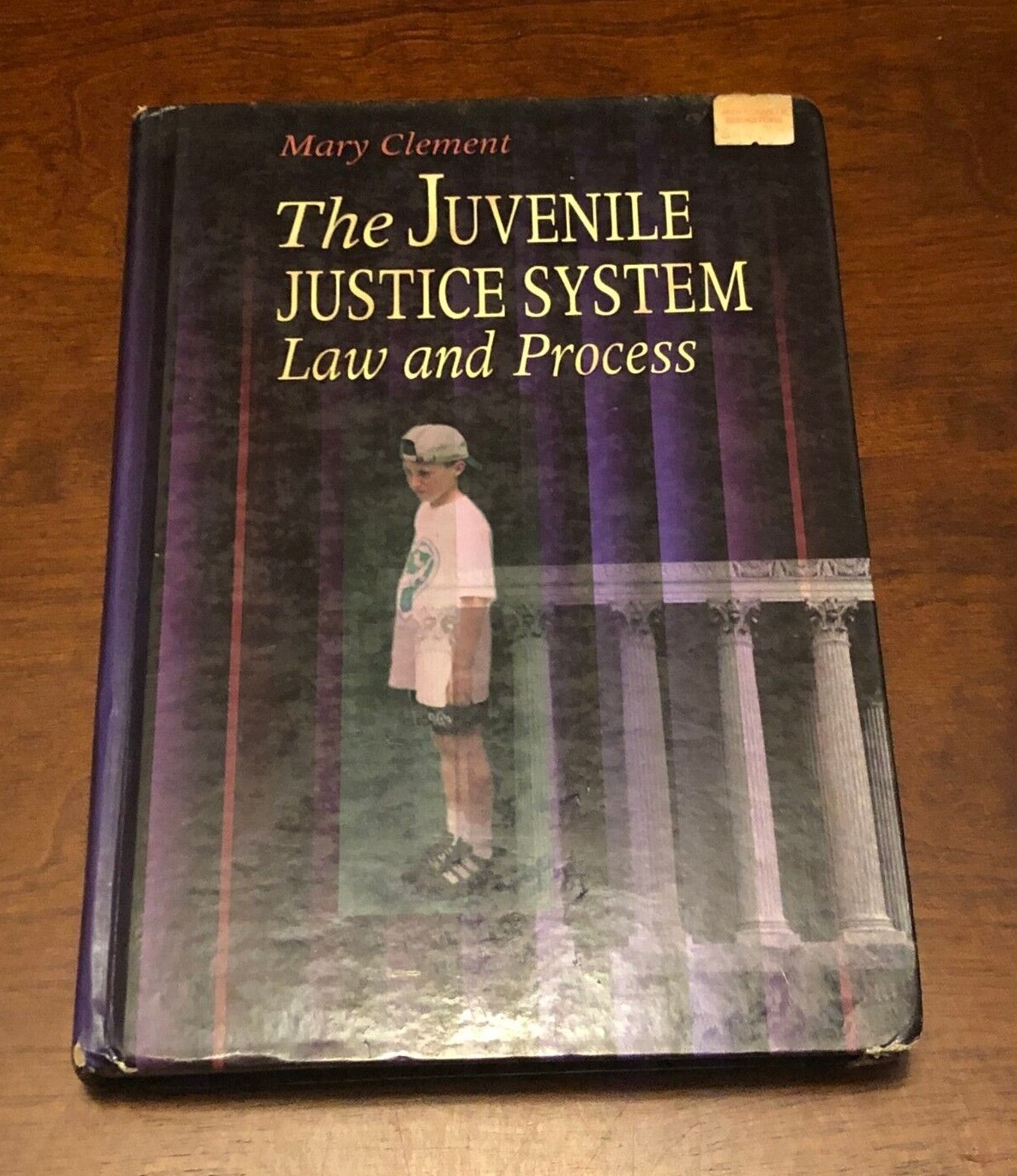 THE JUVENILE JUSTICE SYSTEM: Law and Process by Mary Clement (Good+ Condition)