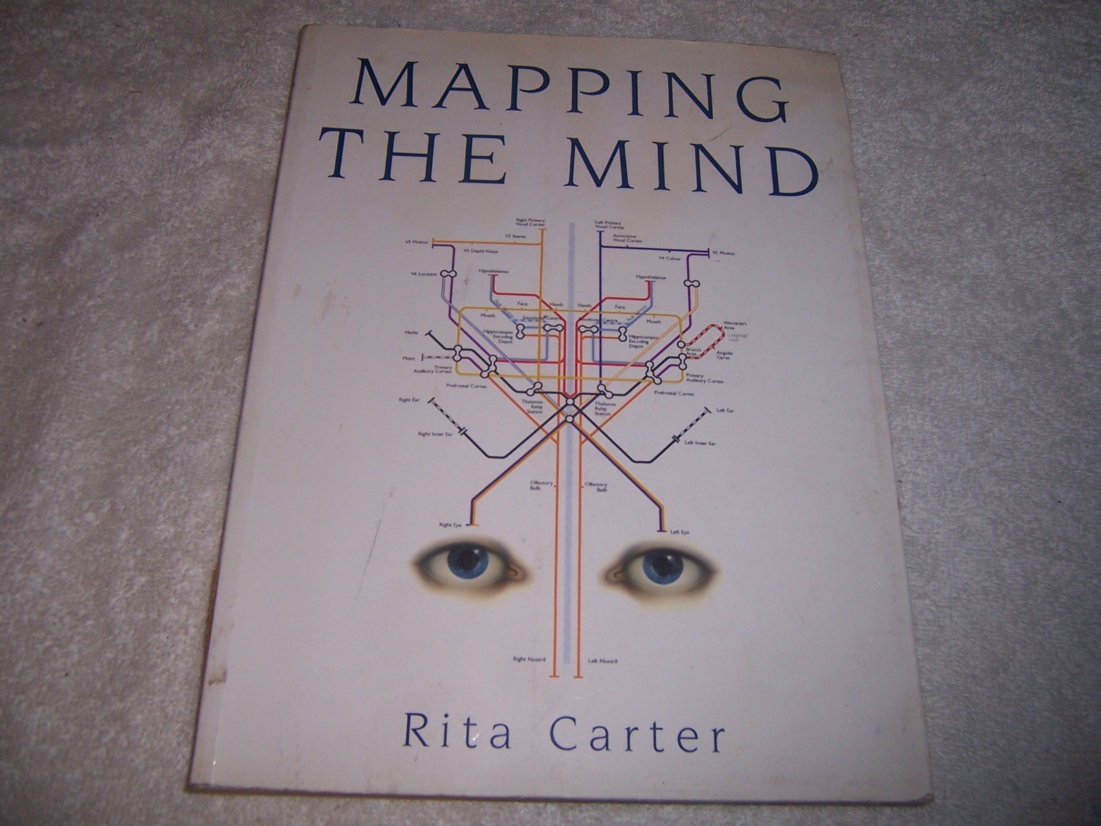 Mapping the Mind by Rita Carter pb