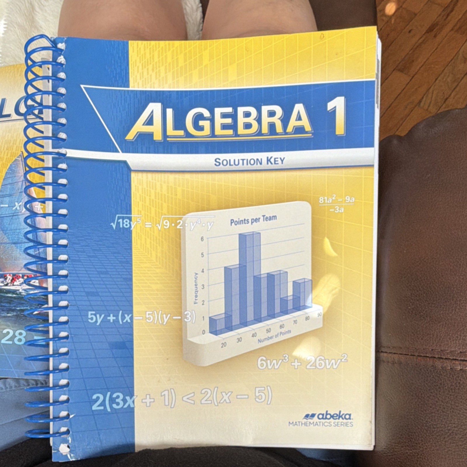 Abeka Algebra 1 Solution Key Ring/Wire Bound Mathematics Series