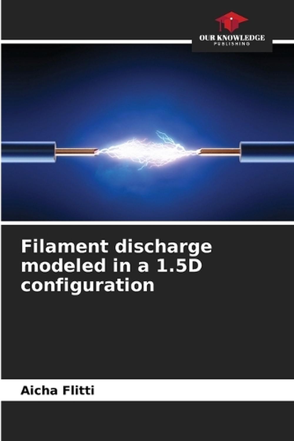 Filament discharge modeled in a 1.5D configuration by Aicha Flitti Paperback Boo