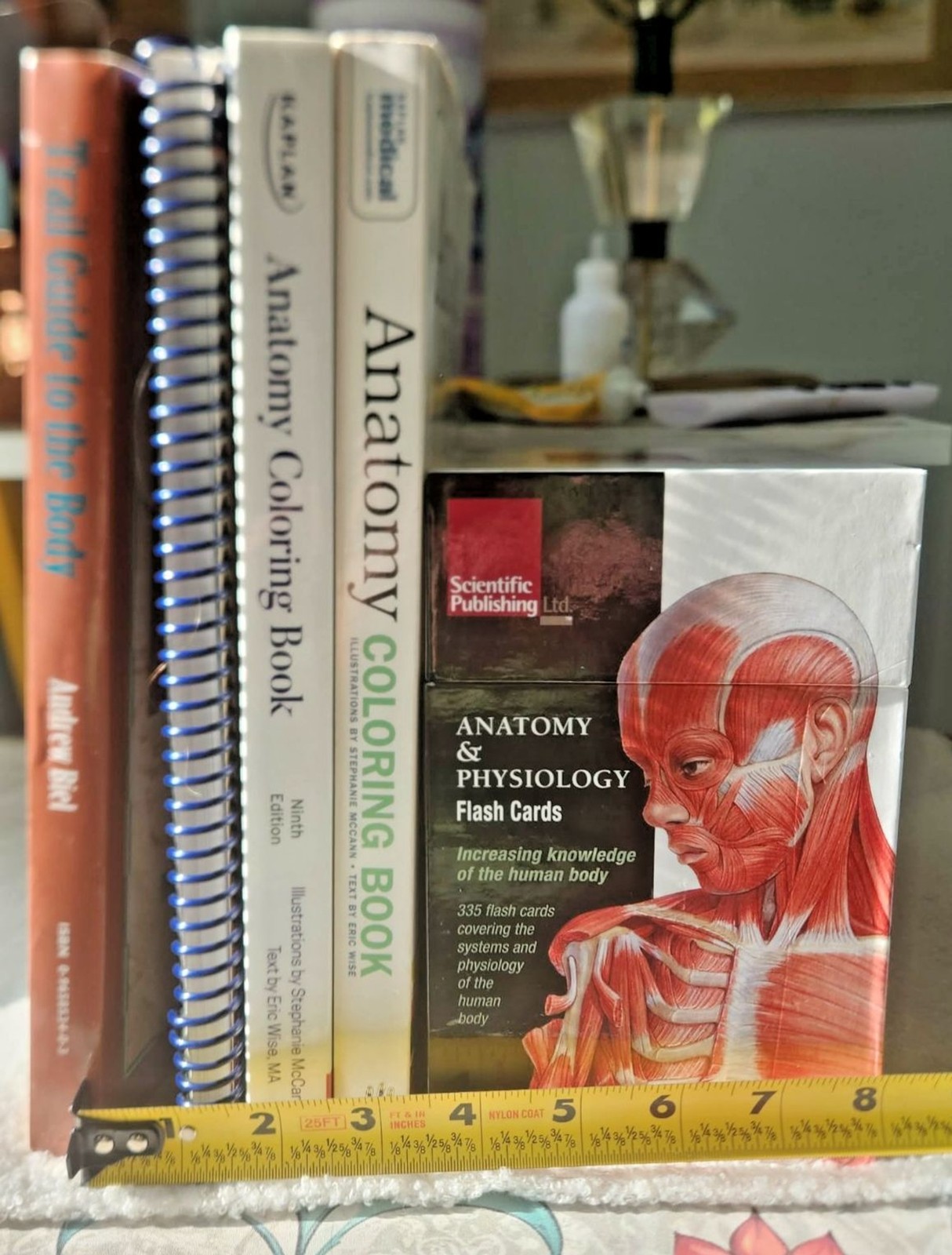 Trail Guide to the Body A&P Texbook+WorkBook & Coloring + Cards: WOW Lot of 5!!