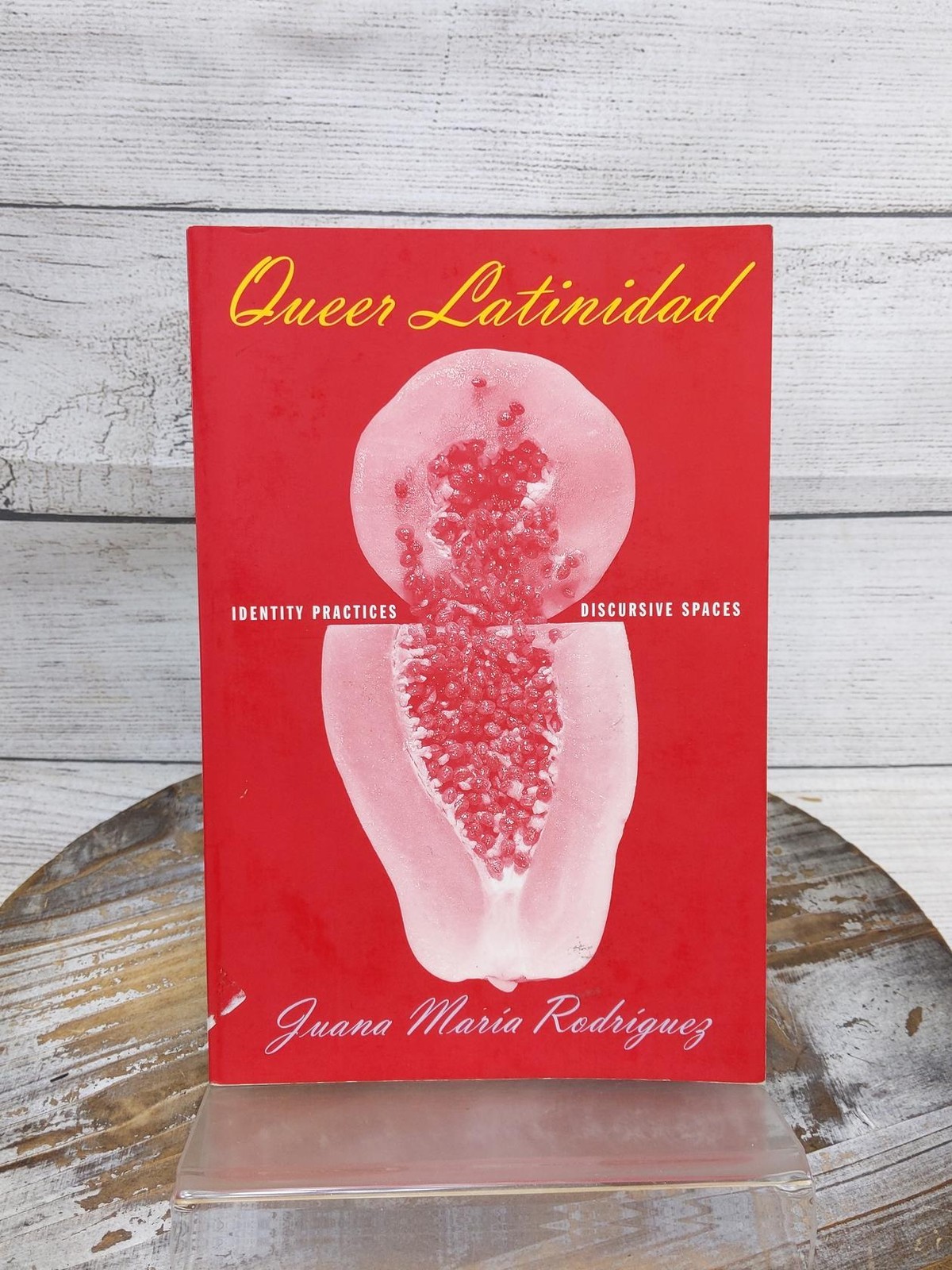 Queer Latinidad: Identity Practices, Discursive Spaces by Juana Rodriguez PB